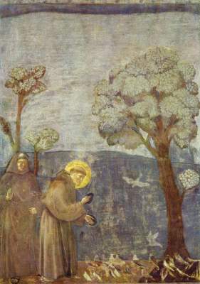 Szenen aus dem Leben des Hl. Franziskus: Der Hl. Franziskus predigt den Vögeln San Francesco, Oberkirche