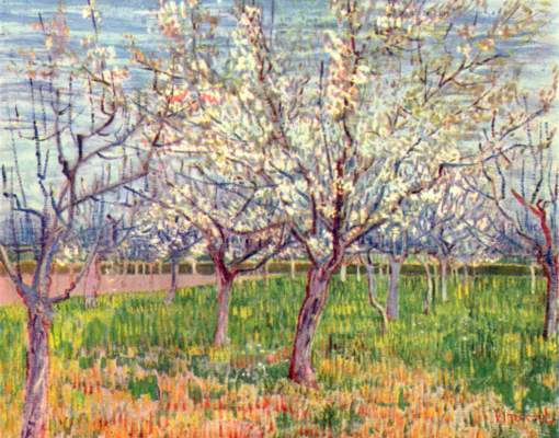 Der Obstgarten Slg. V. W. van Gogh