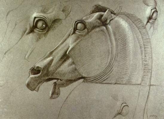 Kopf des Pferdes der Selene British Museum