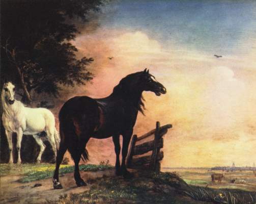 Pferde auf der Weide Rijksmuseum