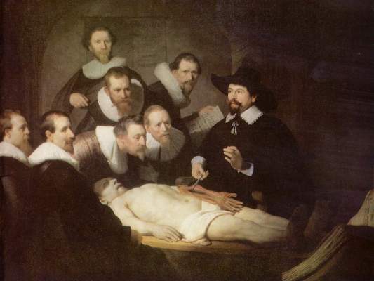 Anatomie des Dr. Tulp Königliche Gemäldegalerie Mauritshuis